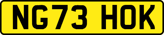 NG73HOK