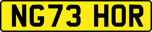 NG73HOR