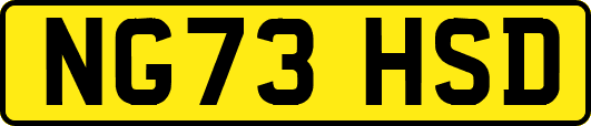 NG73HSD
