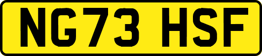 NG73HSF