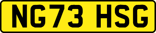 NG73HSG