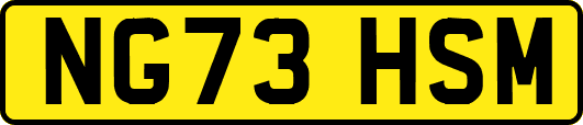 NG73HSM