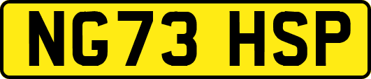 NG73HSP