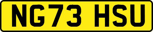 NG73HSU