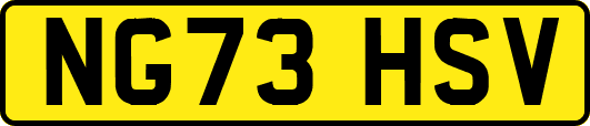 NG73HSV