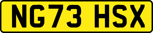 NG73HSX