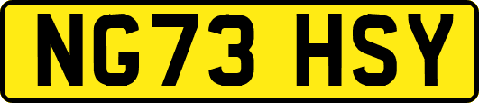 NG73HSY