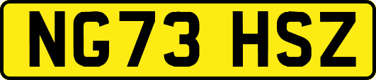 NG73HSZ