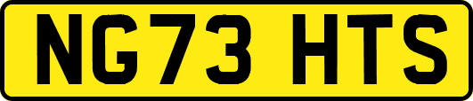 NG73HTS