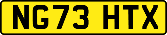 NG73HTX