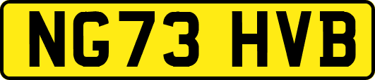 NG73HVB