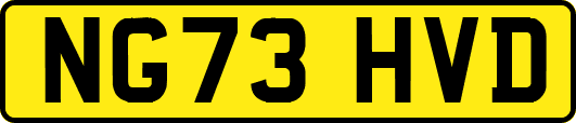 NG73HVD