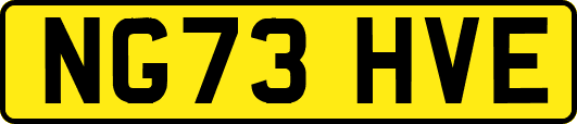 NG73HVE
