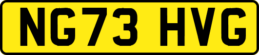 NG73HVG