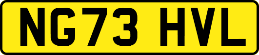NG73HVL