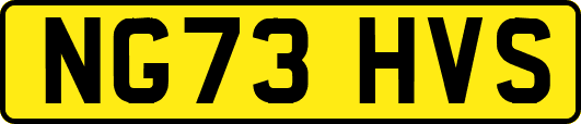 NG73HVS