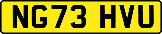 NG73HVU