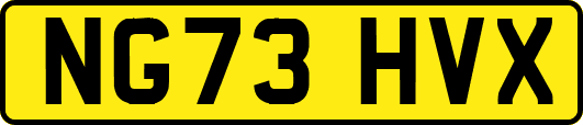 NG73HVX