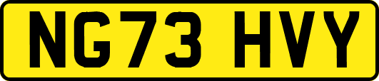 NG73HVY