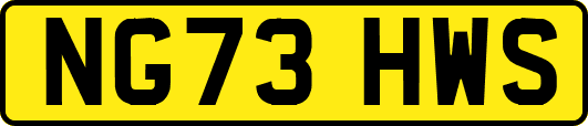 NG73HWS