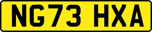 NG73HXA