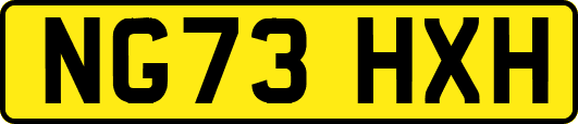 NG73HXH