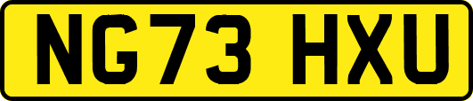 NG73HXU
