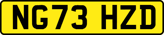NG73HZD