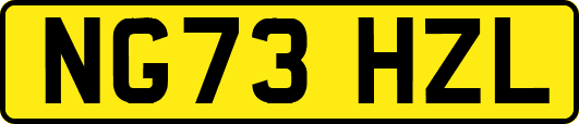 NG73HZL