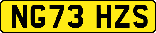 NG73HZS