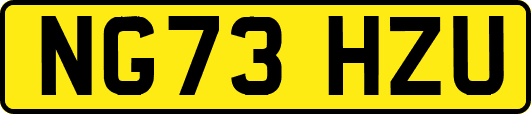 NG73HZU
