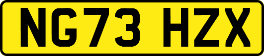 NG73HZX