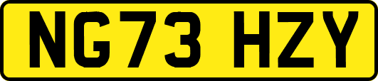 NG73HZY