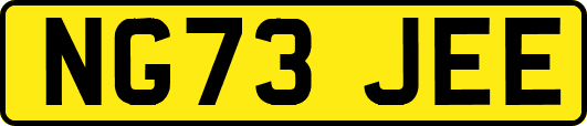 NG73JEE