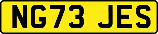 NG73JES