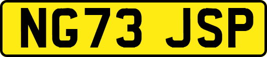 NG73JSP