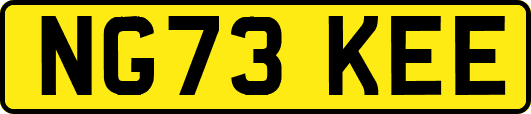 NG73KEE