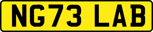 NG73LAB