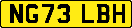 NG73LBH