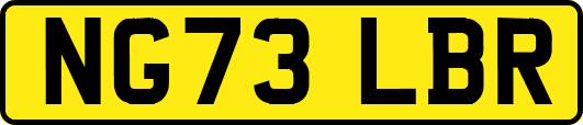 NG73LBR