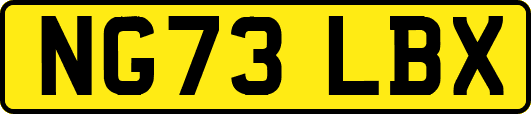 NG73LBX