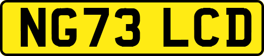 NG73LCD