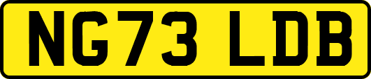 NG73LDB