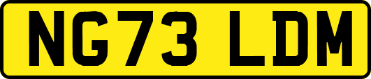 NG73LDM
