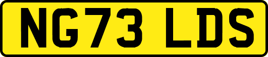 NG73LDS