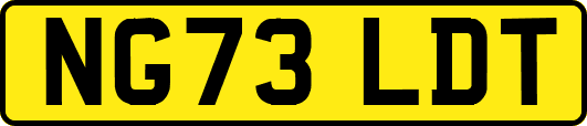 NG73LDT