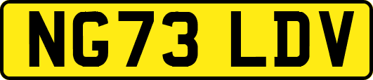 NG73LDV