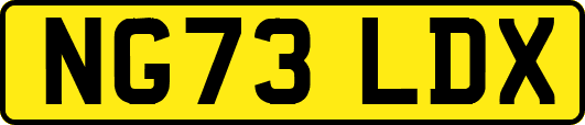 NG73LDX