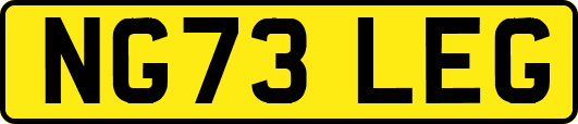 NG73LEG