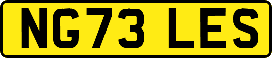 NG73LES
